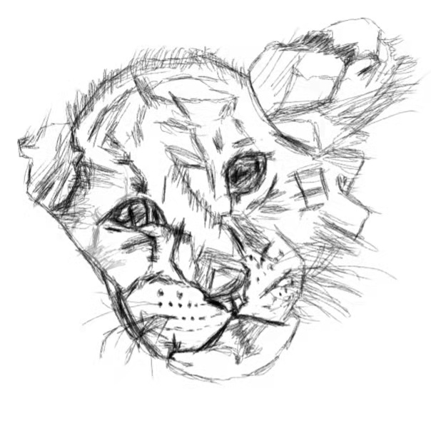 _static\painting\lion_head.jpg